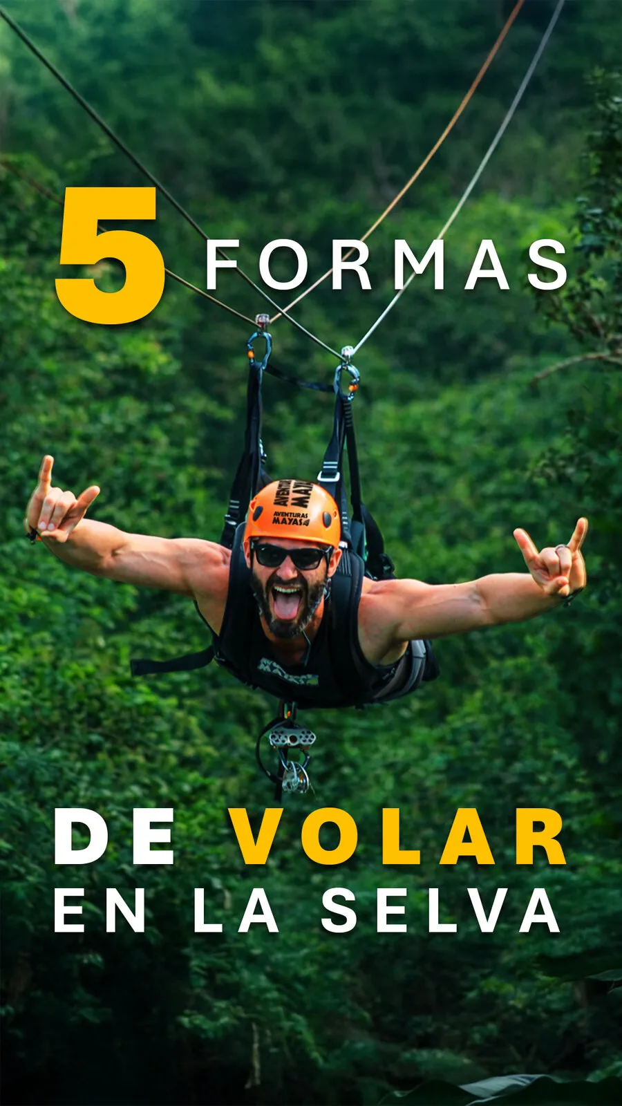 Portada para TikTok «5 formas de volar en la selva»